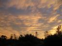 sunset1.jpg