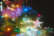 Happy Holidays!