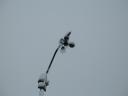frozen_anemometer.jpg