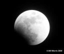 lunareclipse2008.JPG
